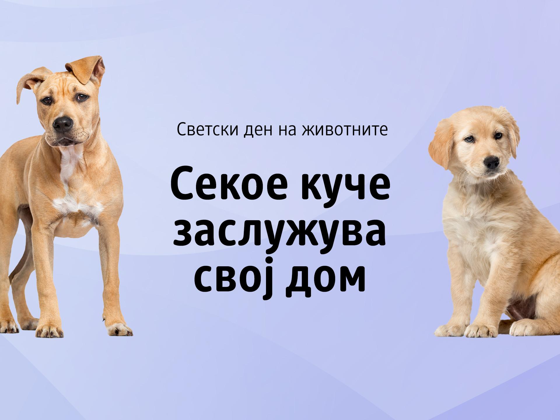 Najava za den na zivotnite PR 4x3 1