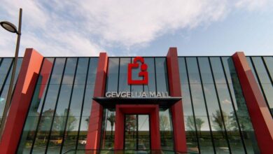 Гевгелија Мол