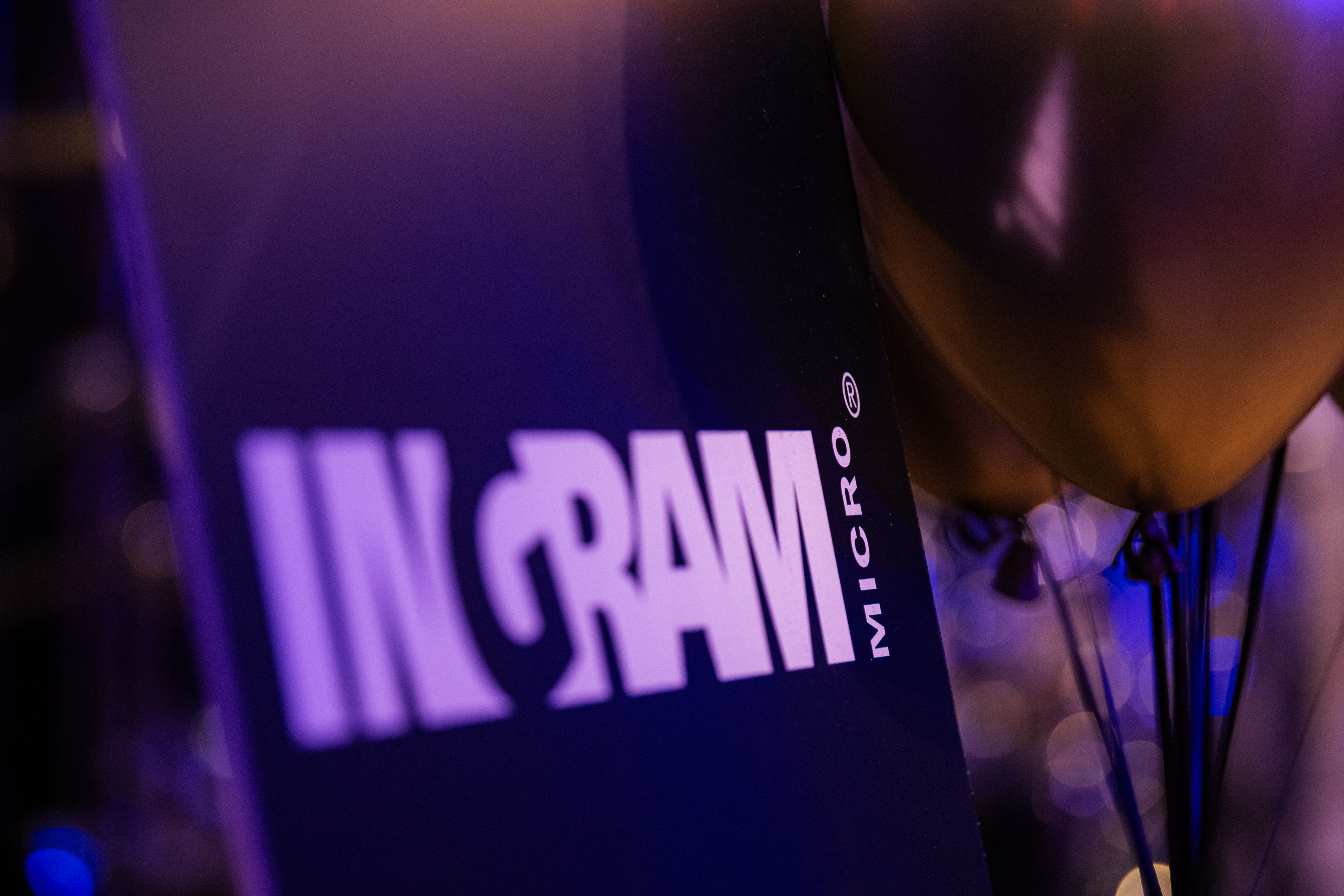 Ingram MicroDSC 1243