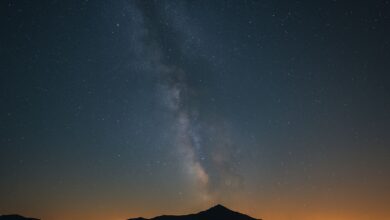 Ѕвездите му отвораат врата на овој хороскопски знак