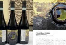 vino prima della pioggia 2026