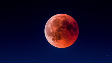 Крвава Месечина