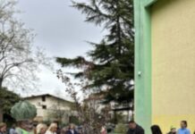 Продолжуваат активностите од зелениот конкурс на dm: раззеленети дворовите на две воспитно-образовни установи во Куманово и Гевгелија