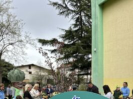 Продолжуваат активностите од зелениот конкурс на dm: раззеленети дворовите на две воспитно-образовни установи во Куманово и Гевгелија