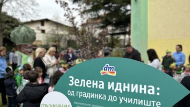 zelena idnina 2 scaled