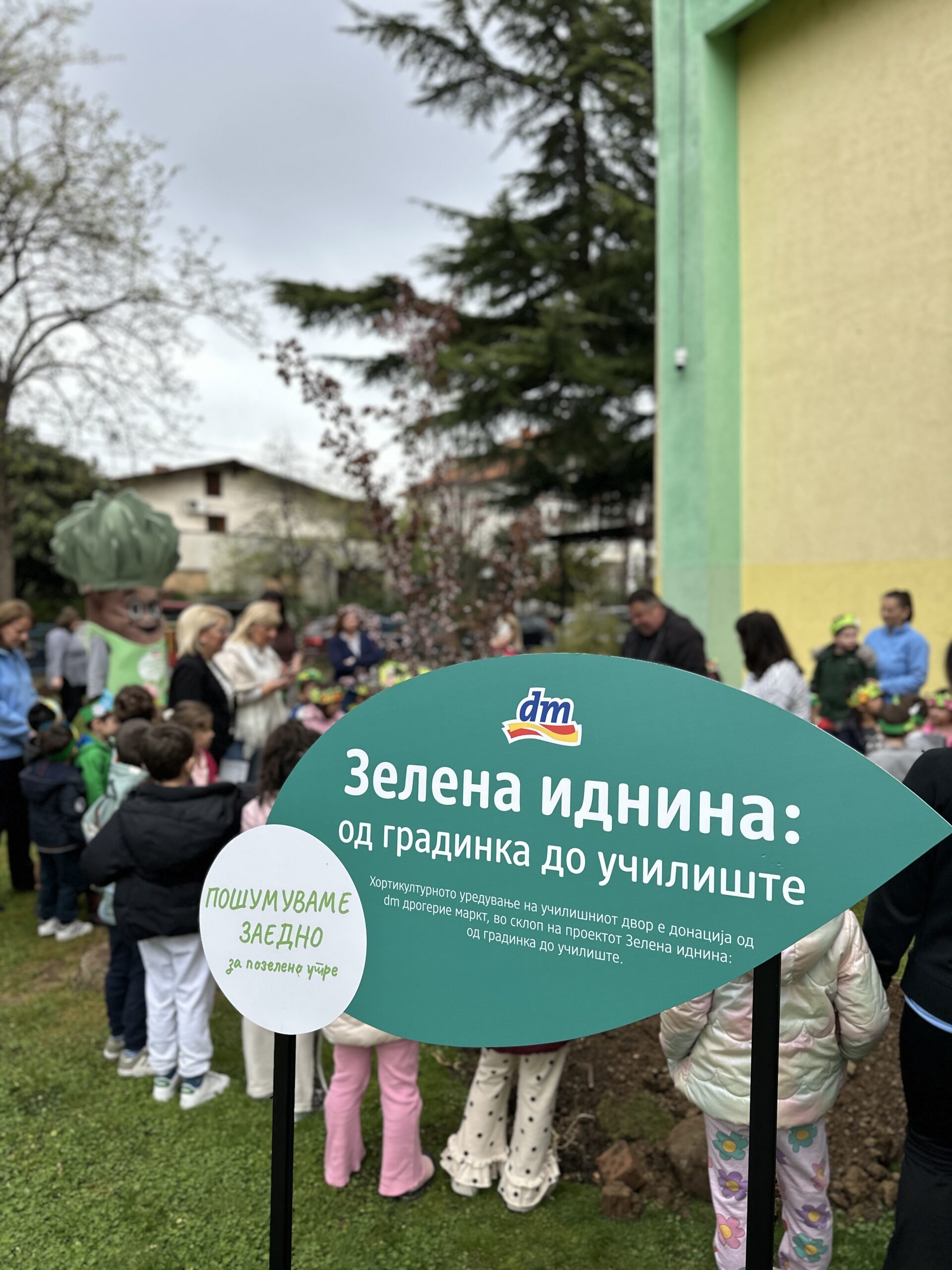 zelena idnina 2 scaled