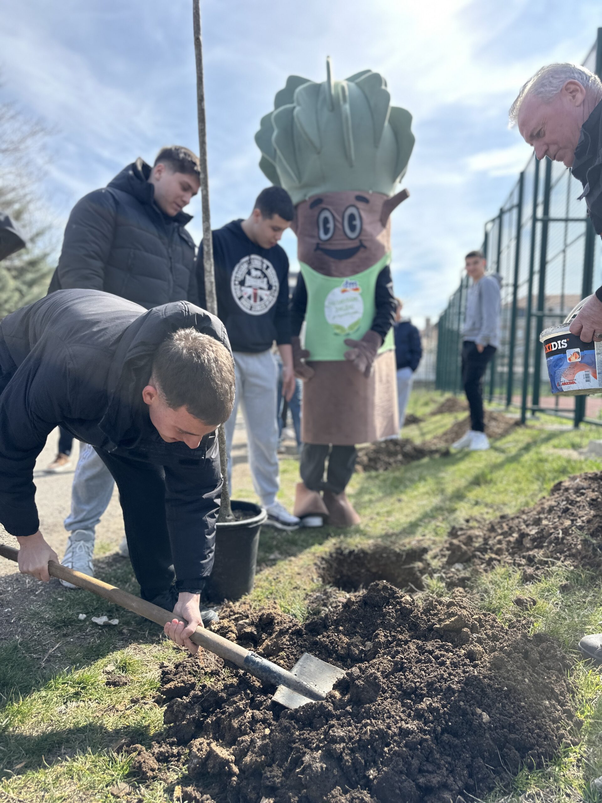 zelena idnina 4 scaled