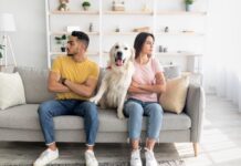 Бразил воведува заедничко старателство над домашни миленици за разведени парови старателство над домашни миленици за разведени парови