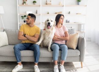 Бразил воведува заедничко старателство над домашни миленици за разведени парови старателство над домашни миленици за разведени парови