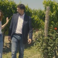tajnite na vinovata loza alfa